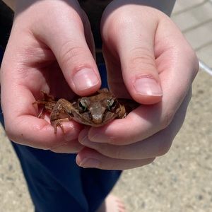 Meet your Posher, Randy